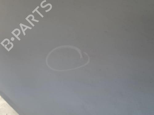 Hood RENAULT RAPID Box Body/MPV (F40_, G40_) 1.1 | BP22022300C1