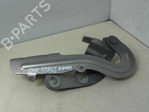 Hinge/Door check strap FORD B-MAX (JK) 1.0 EcoBoost | BP20939726C146
