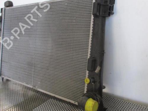 Used Water radiator FIAT GRANDE PUNTO (199_) 1.3 D Multijet (75 hp) 20952115