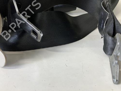 Front right belt tensioner RENAULT LAGUNA III (BT0/1) 2.0 dCi (BT07, BT0J, BT14, BT1A, BT1S) | BP24816216C88 