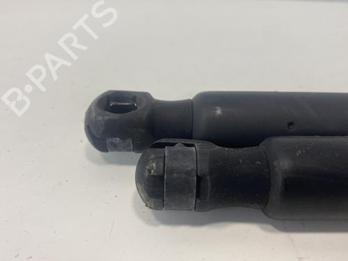 Tailgate lift support VW CADDY III MPV (2KB, 2KJ, 2CB, 2CJ) 1.9 TDI | BP22025022C138 