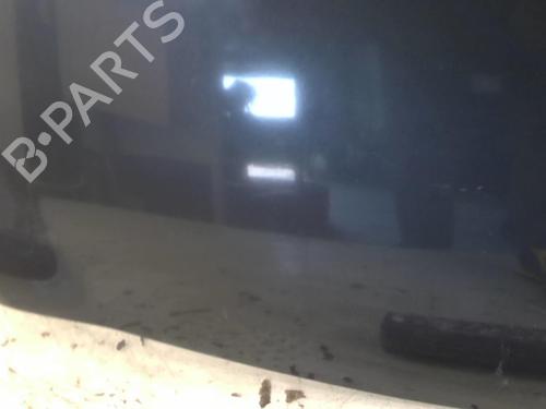 Hood RENAULT CLIO III (BR0/1, CR0/1) 1.5 dCi (C/BR0G, C/BR1G) | BP20969462C1 