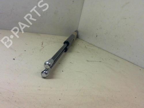 Tailgate lift support RENAULT SCÉNIC II (JM0/1_) 1.5 dCi (JM1F) | BP20967282C138 
