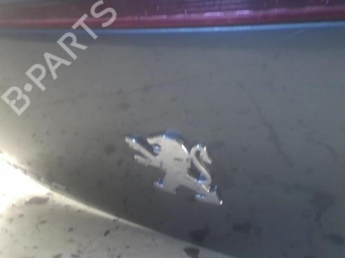 Tailgate PEUGEOT 307 CC (3B) 2.0 HDi 135 | BP20952023C6 