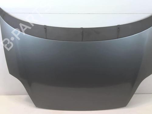 Used Hood FIAT GRANDE PUNTO (199_) 1.3 D Multijet (75 hp) 20953067