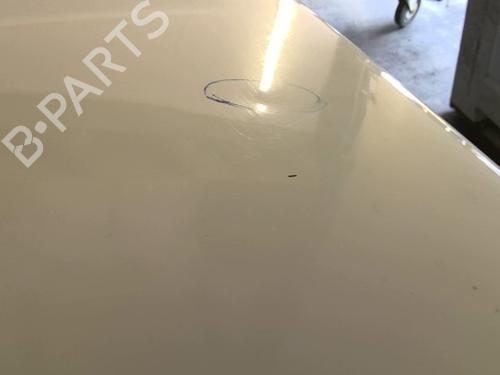Hood FIAT PANDA (141_) 1100 | BP26603750C1 