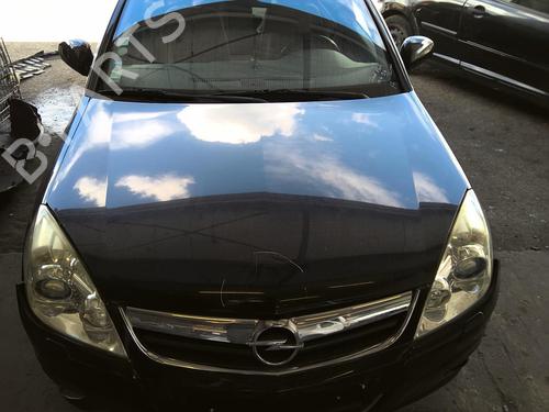 Hood OPEL SIGNUM Hatchback (Z03) 3.0 V6 CDTI (F48) | BP22025742C1