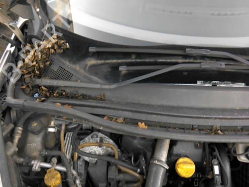 Used Front windshield wiper arm RENAULT SCÉNIC III (JZ0/1_) 1.5 dCi (106 hp) 20970593