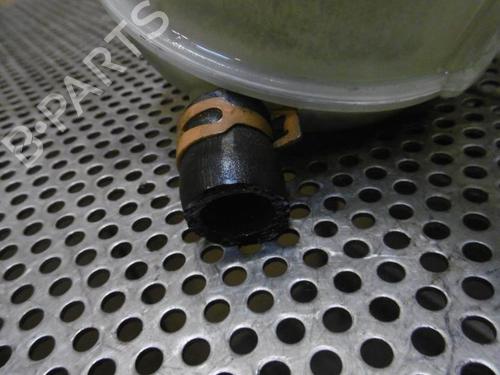 Expansion tank RENAULT SCÉNIC II (JM0/1_) 1.5 dCi (JM1E, JM16) | BP20955030C120 