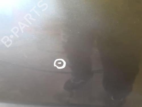 Left front door KIA SPORTAGE II (JE_, KM_) 2.0 CRDi 4WD | BP22025311C2