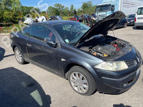 Brugte RENAULT MEGANE II Coupé-Cabriolet (EM0/1_) 4831012