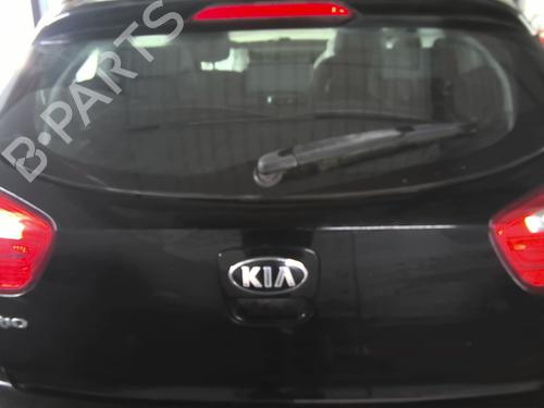 Used Tailgate Tailgate 25124486 25124486