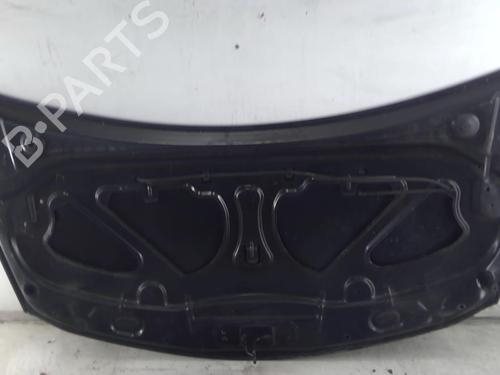 Used Hood RENAULT CLIO III (BR0/1, CR0/1) 1.2 16V (BR02, BR0J, BR11, CR02, CR0J, CR11) (75 hp) 22022471