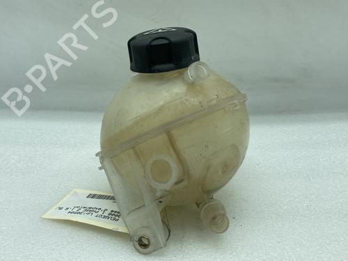 Expansion tank PEUGEOT 3008 I MPV (0U_) 1.6 BlueHDi 120 | BP22642076C120 