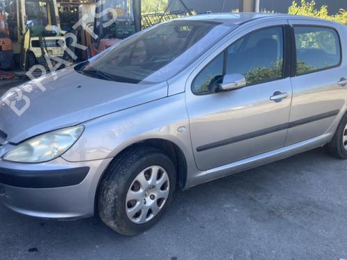 Hinge/Door check strap PEUGEOT 307 (3A/C) 1.6 HDi 110 | BP20959064C146 