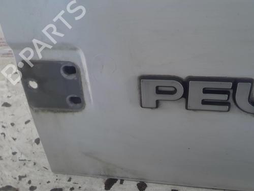 Left rear door PEUGEOT EXPERT Van (222) 1.6 | BP22022786C4 