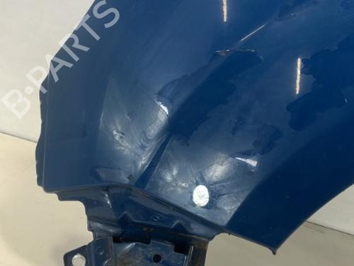 Left front fenders RENAULT KANGOO Express (FC0/1_) 1.5 dCi (FC07, FC1R) | BP22028219C41