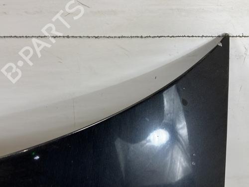 Hood VW POLO IV (9N_, 9A_) 1.4 TDI | BP22027952C1 