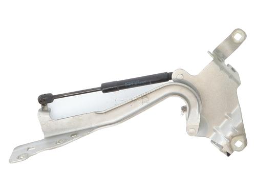 Hinge/Door check strap RENAULT SCÉNIC III (JZ0/1_) 1.5 dCi | BP20957986C146 
