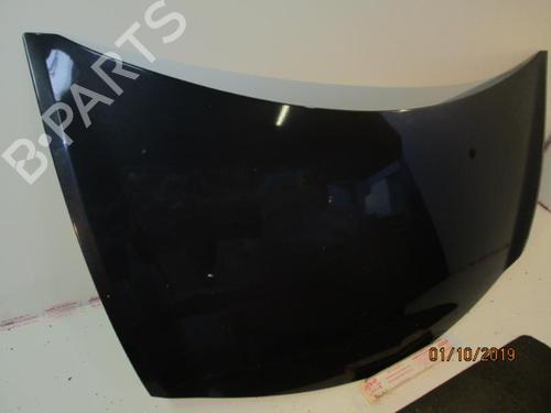 Hood RENAULT CLIO III (BR0/1, CR0/1) 1.5 dCi (BR17, CR17) | BP20953908C1 