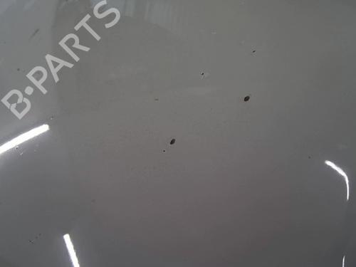 Hood FIAT IDEA (350_) 1.3 D Multijet | BP28428780C1