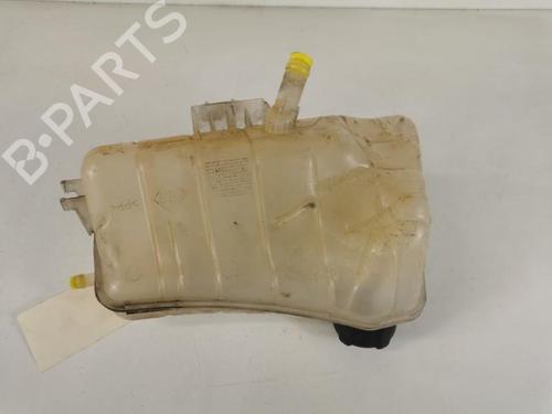 Expansion tank RENAULT KANGOO Express (FW0/1_) 1.5 dCi 75 (FW07, FW10, FW04) | BP20955691C120 