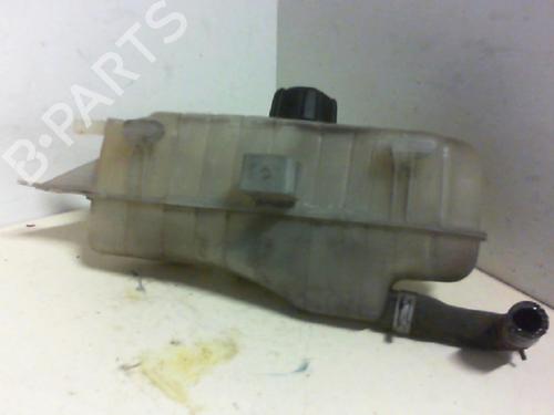 Expansion tank RENAULT CLIO III (BR0/1, CR0/1) 1.2 16V (BR0P, CR0P) | BP20958194C120 