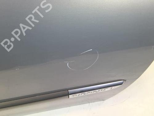 Right front door RENAULT MEGANE II (BM0/1_, CM0/1_) 1.9 dCi (BM0G, CM0G) | BP22021535C3