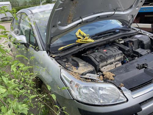 Alternator CITROËN C4 I (LC_) 1.6 16V | BP20939541M7 