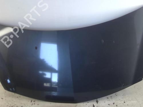 Hood RENAULT CLIO III (BR0/1, CR0/1) 1.5 dCi (C/BR0G, C/BR1G) | BP20969462C1 