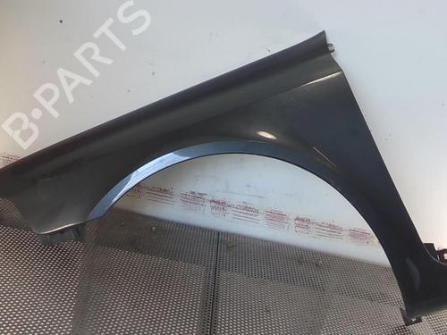 Used Left front fenders RENAULT LAGUNA II (BG0/1_) 1.8 16V (BG04, BG0B, BG0C, BG0V) (117 hp) 20969759