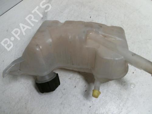 Used Expansion tank RENAULT SCÉNIC II (JM0/1_) 2.0 dCi (JM1K) (150 hp) 20963378