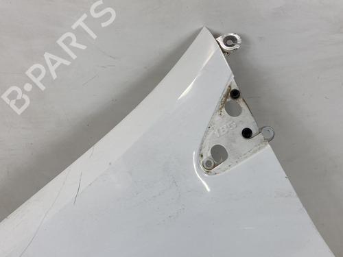 Left front fenders RENAULT CLIO III (BR0/1, CR0/1) 1.5 dCi (C/BR0G, C/BR1G) | BP27570406C41