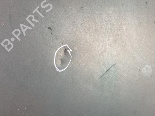 Hood PEUGEOT 406 (8B) 1.8 16V | BP22029956C1 