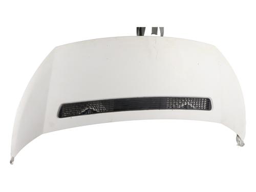 Used Hood PEUGEOT EXPERT Van (VF3A_, VF3U_, VF3X_) 2.0 HDi 165 (163 hp) 30704898