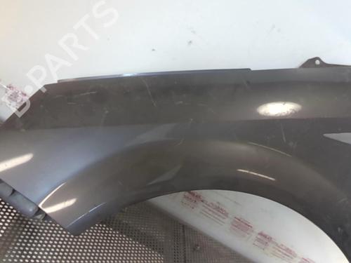 Left front fenders RENAULT SCÉNIC II (JM0/1_) 1.5 dCi (JM0F) | BP20969754C41 