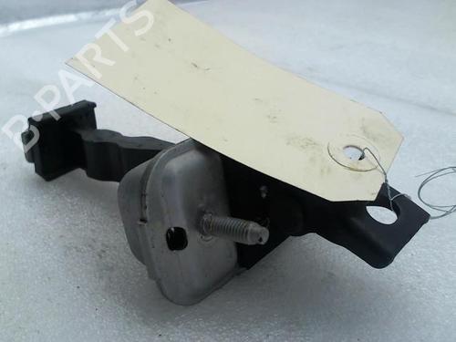 Hinge/Door check strap PEUGEOT 208 I (CA_, CC_) 1.5 BlueHDI 100 | BP20952901C146 