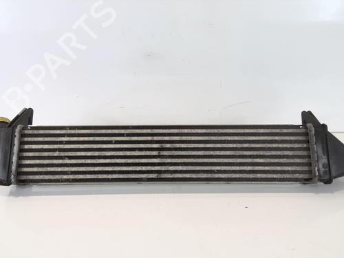 Intercooler DACIA SANDERO 1.5 dCi | BP20965621M30
