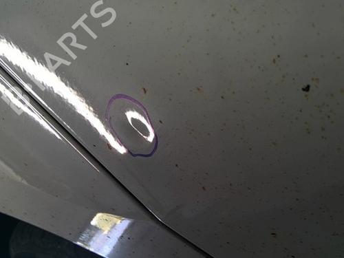 Left front door PEUGEOT BIPPER (AA_) 1.3 HDi 75 | BP25292187C2 