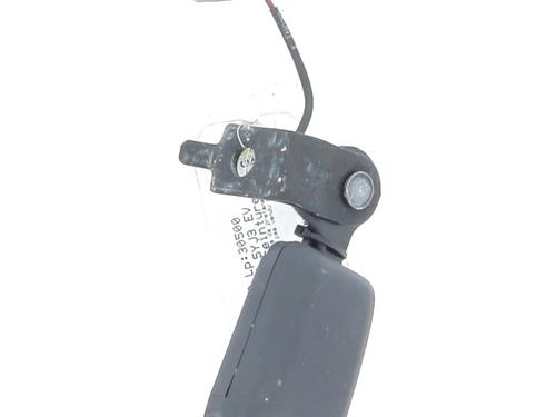 Hinge/Door check strap TESLA MODEL 3 (5YJ3)  | BP28585742C146 