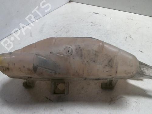 Used Expansion tank RENAULT CLIO III Grandtour (KR0/1_) 1.5 dCi (88 hp) 20962696