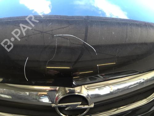 Hood OPEL SIGNUM Hatchback (Z03) 3.0 V6 CDTI (F48) | BP22025742C1