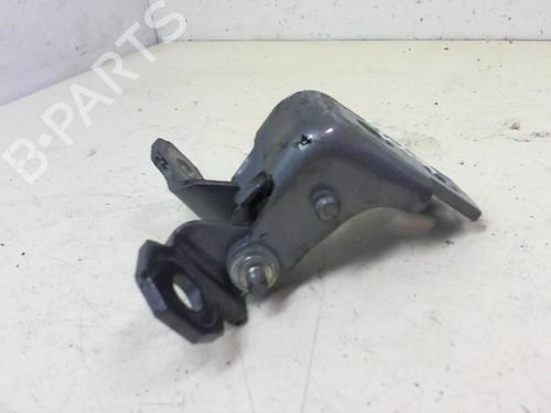Used Hinge/Door check strap RENAULT MEGANE III Hatchback (BZ0/1_, B3_) 1.5 dCi (BZ0C) (90 hp) 20943432