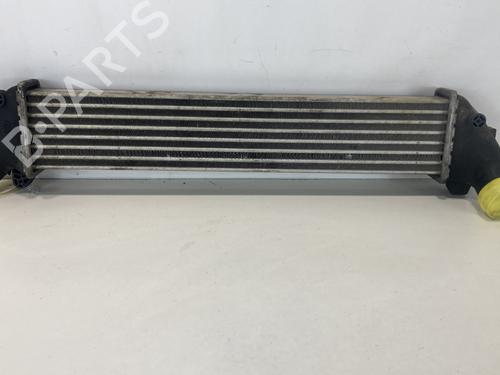 Intercooler RENAULT KANGOO (KC0/1_) 1.5 dCi | BP21775810M30 