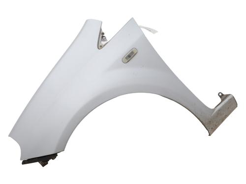 Forskærm venstre FIAT PUNTO EVO (199_) 1.3 D Multijet (199AXC1A, 199BXC1A, 199AXT1A, 199BXT1A) (75 hp) 30634594