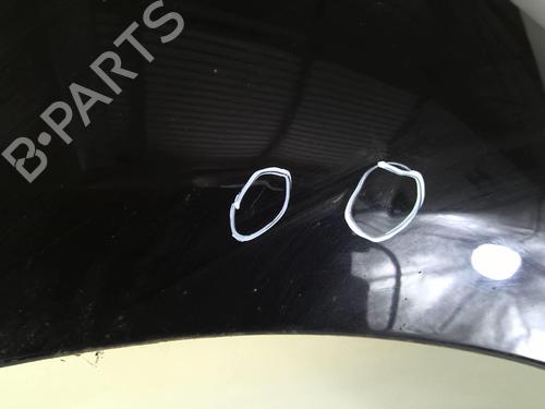 Right front fenders FIAT GRANDE PUNTO (199_) 1.3 D Multijet | BP22024441C42 