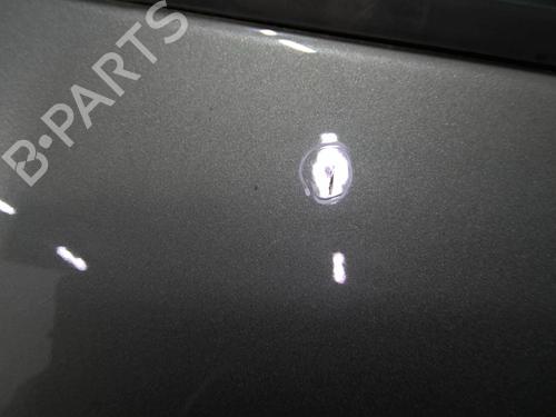 Used Right front door VW CADDY III Box Body/MPV (2KA, 2KH, 2CA, 2CH) 1.9 TDI (105 hp) 31299777