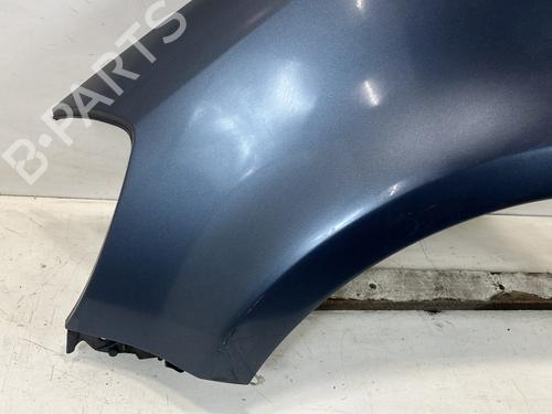 Left front fenders RENAULT CLIO III (BR0/1, CR0/1) 1.5 dCi (BR17, CR17) | BP23791998C41 