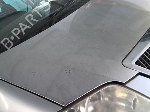 Hood LANCIA PHEDRA (179_) 2.2 JTD (179AXC1A) | BP26717672C1 