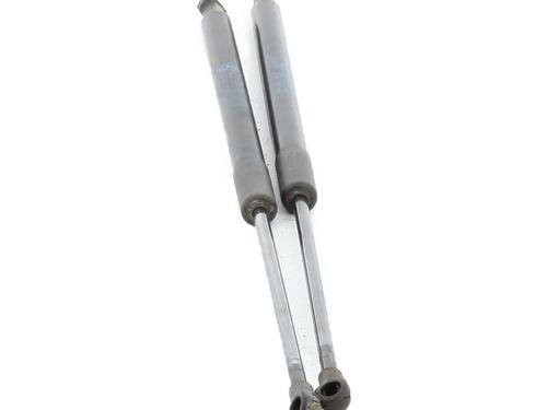 Tailgate lift support BMW 1 (F20) 118 d | BP29614169C138 